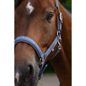 Eskadron Cabezada Classic Sports Sparkle Orchid