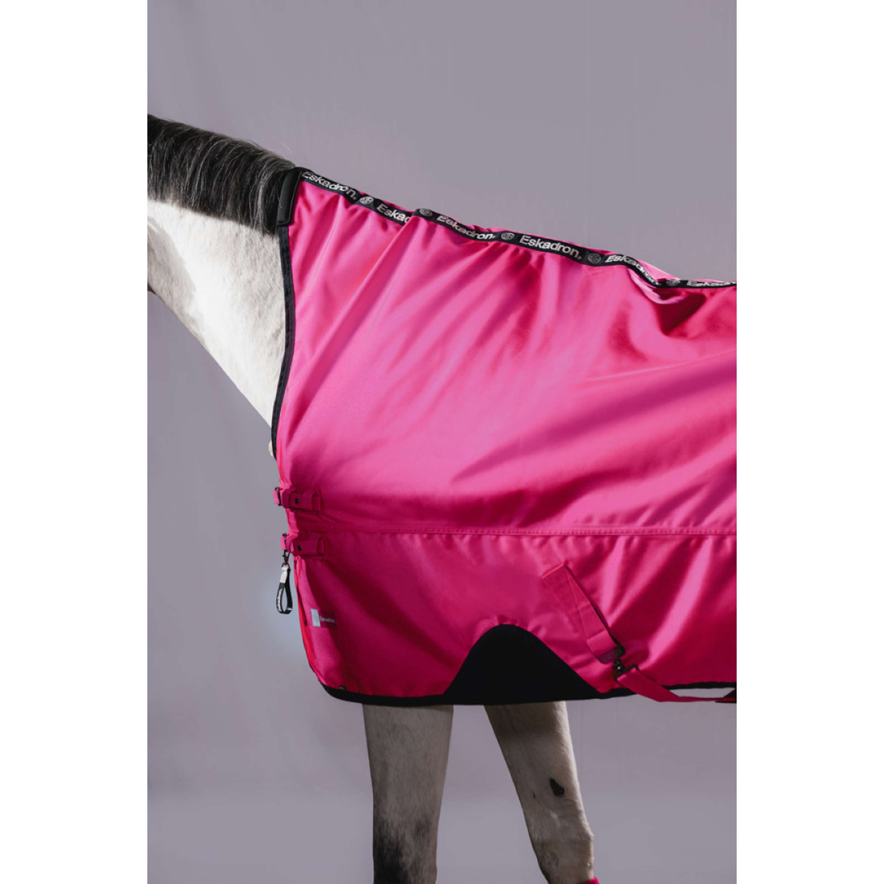 Eskadron Alfombra de Exterior Dynamics Beta 1680D 50g Lipstick