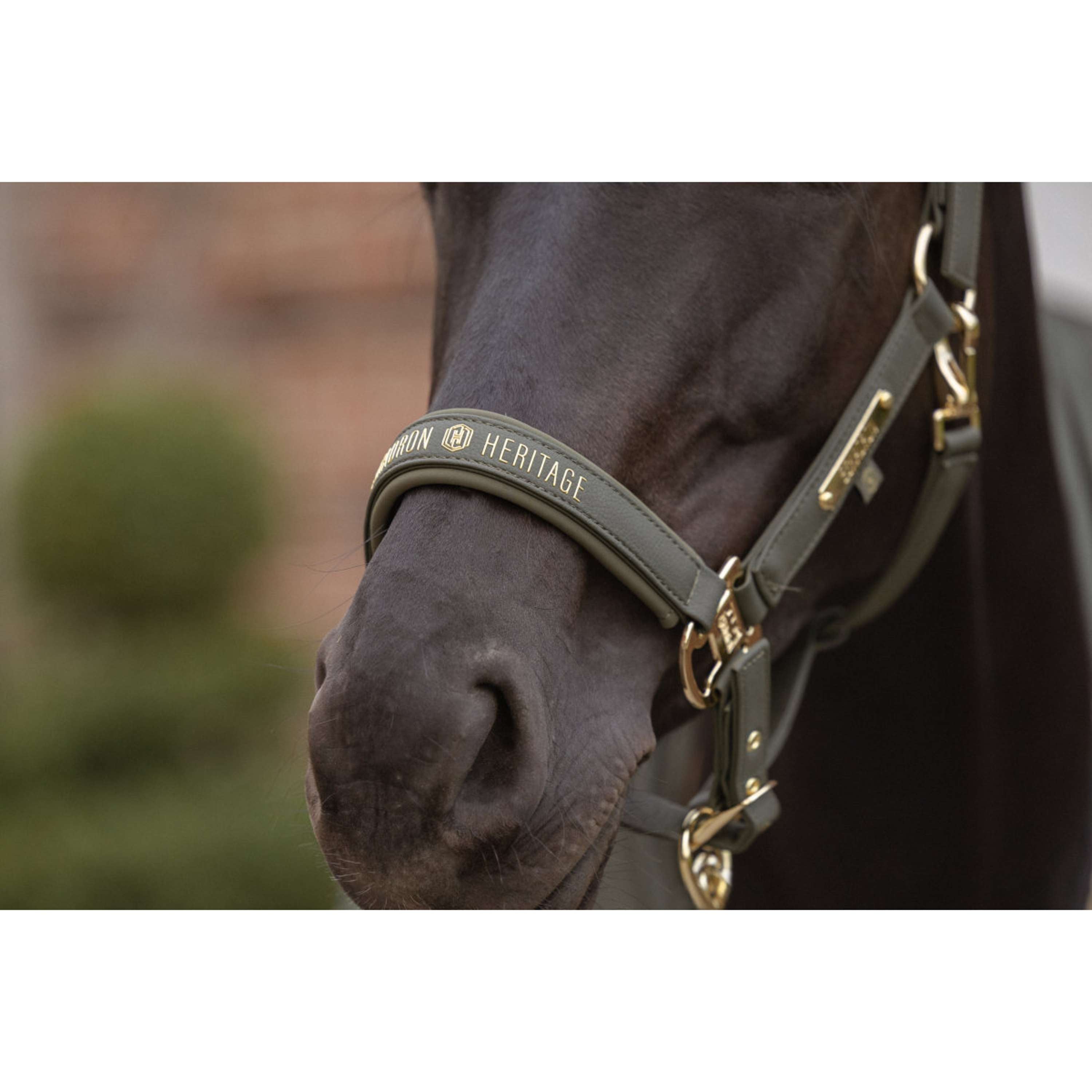 Eskadron Cabestro Heritage Faux Leather Double Pin Deep Moss