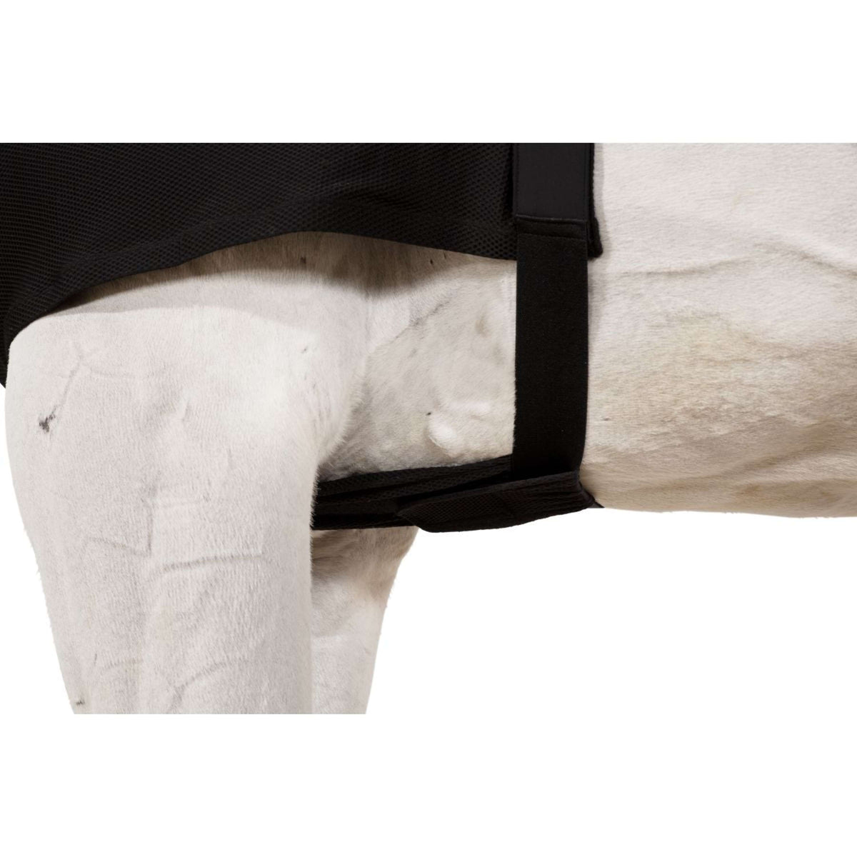 Eskadron Protector de Pecho DynAirMesh Negro