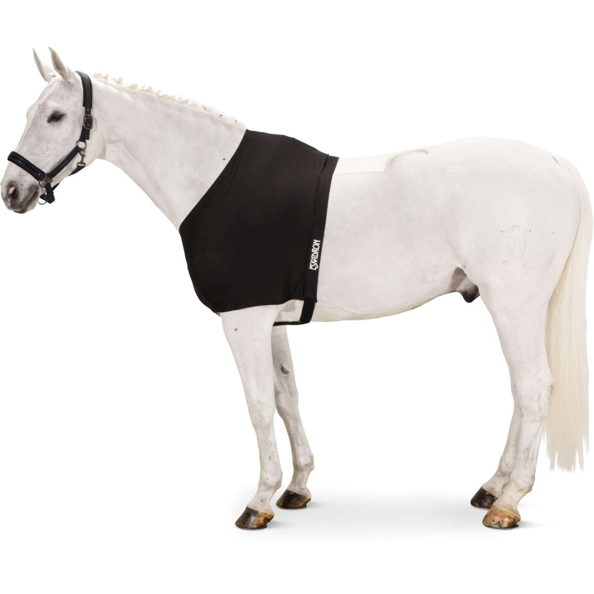 Eskadron Protector de Pecho DynAirMesh Negro