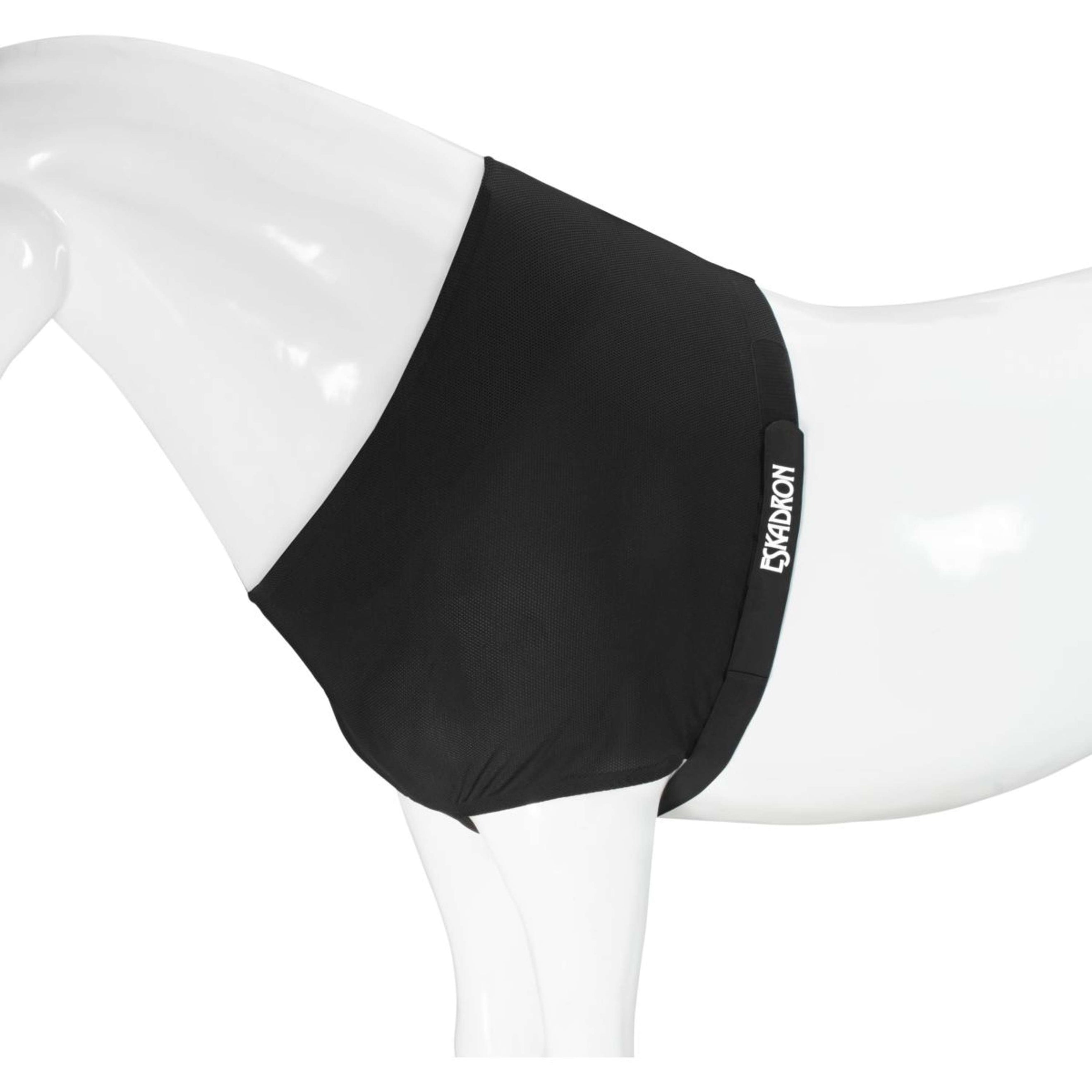 Eskadron Protector de Pecho DynAirMesh Negro Eskadron Protector de Pecho DynAirMesh Negro