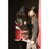 Bucas Dublin Padded Lead Rein Wine/Silver