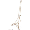 F.R.A. Cabestro de Cuerda Lazy Beige