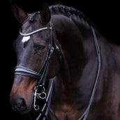 Imperial Riding Brida Doble IRHFria Negro