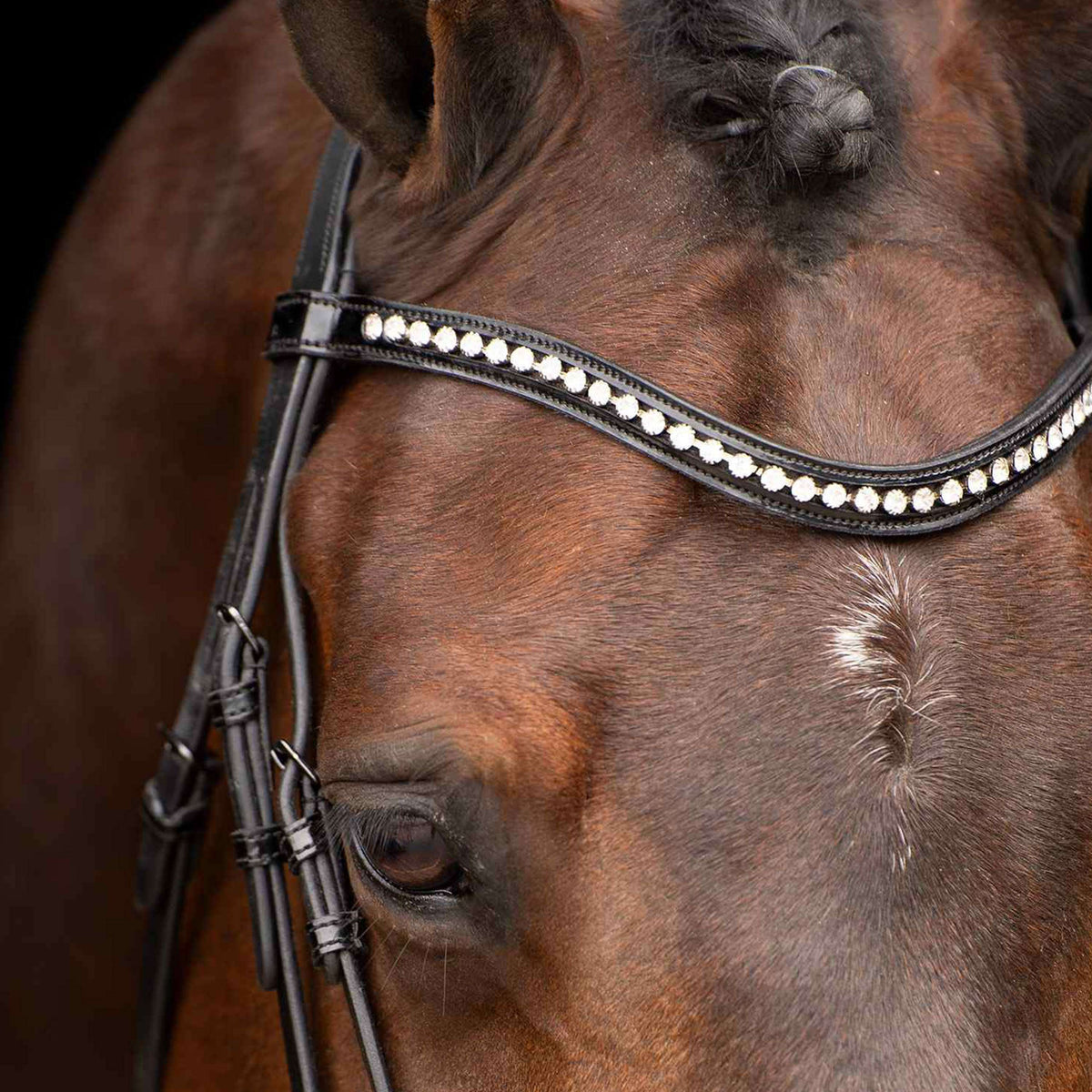 Imperial Riding Brida IRHAthena Negro