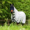 Gris Plata