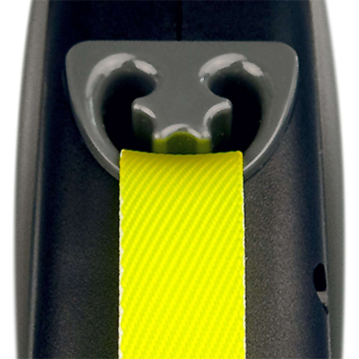 Flexi Neon Giant Negro