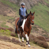 Aubrion by Shires Chaleco Original Fleece Azul