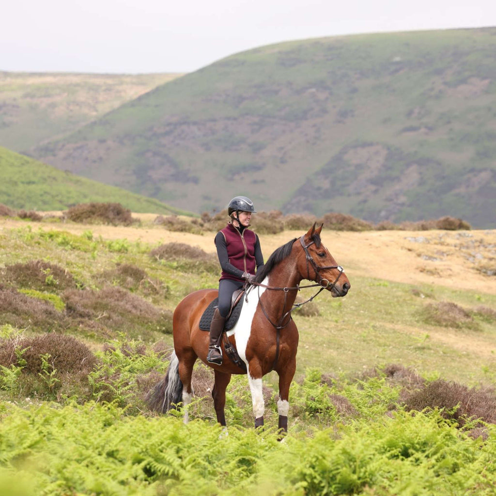 Aubrion by Shires Chaleco Original Fleece Maroon
