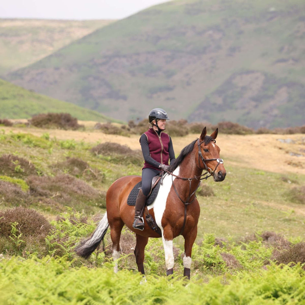 Aubrion by Shires Chaleco Original Fleece Maroon