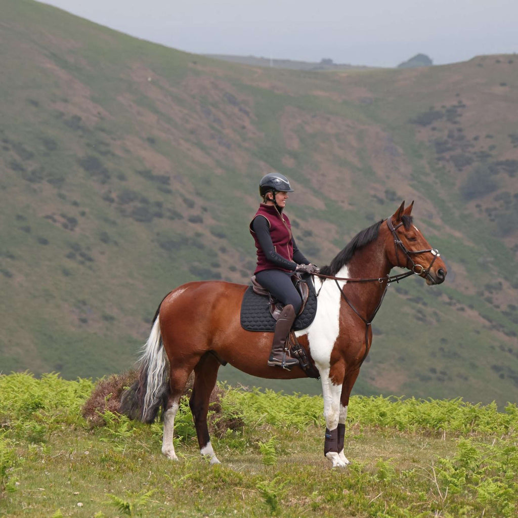 Aubrion by Shires Chaleco Original Fleece Maroon