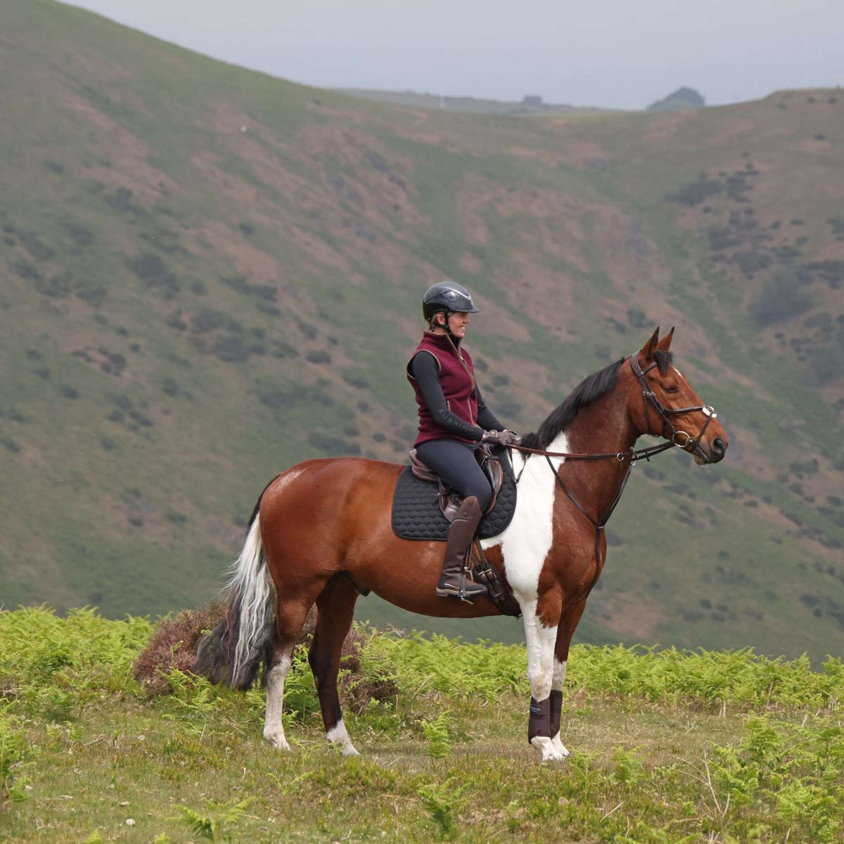 Aubrion by Shires Chaleco Original Fleece Maroon