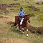 Aubrion by Shires Suéter Original Fleece Azul