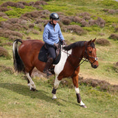 Aubrion by Shires Suéter Original Fleece Azul