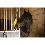 Excellent Horse Foodie Friends Pera