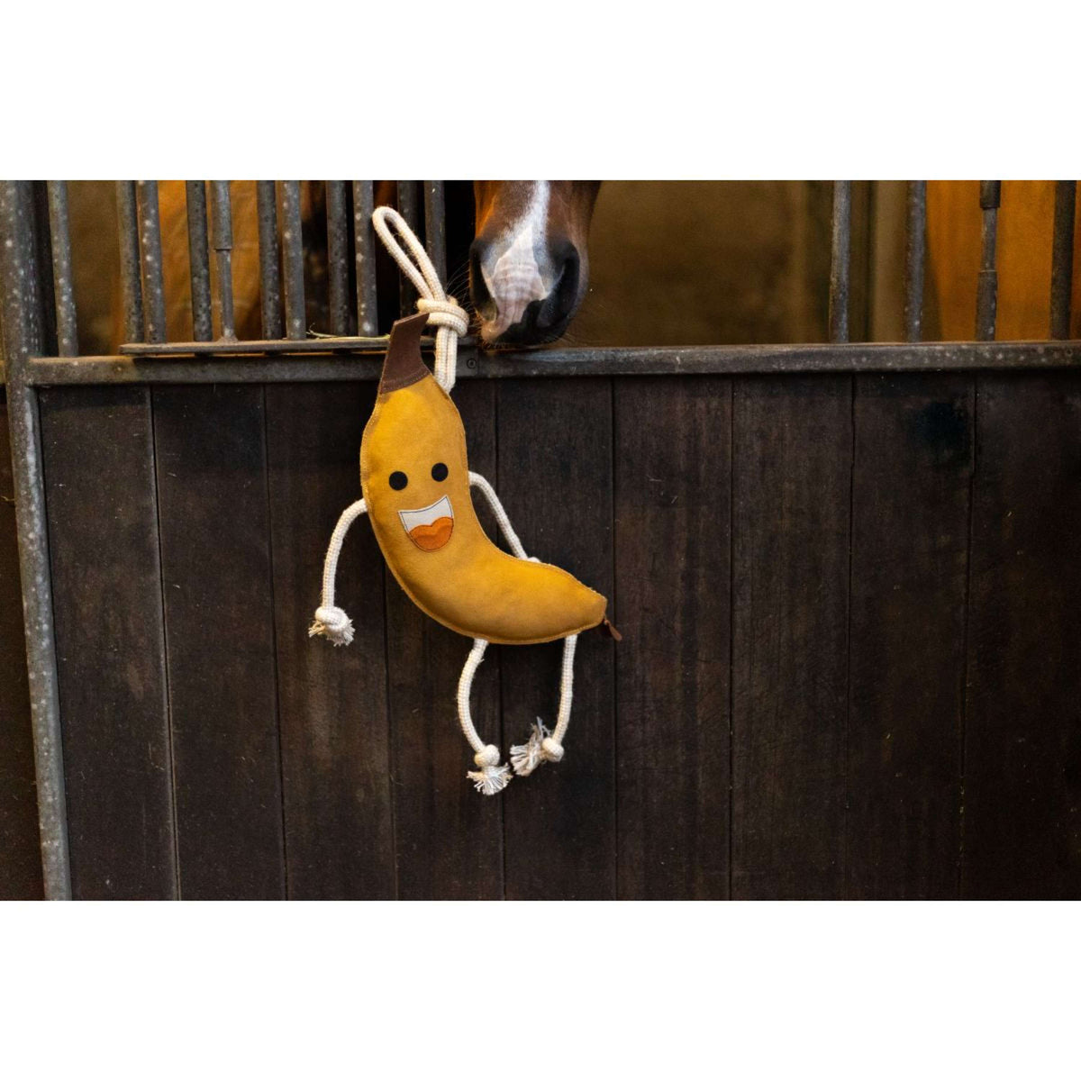 Excellent Horse Foodie Friends Amarillo banana