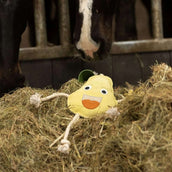 Excellent Horse Foodie Friends Pera