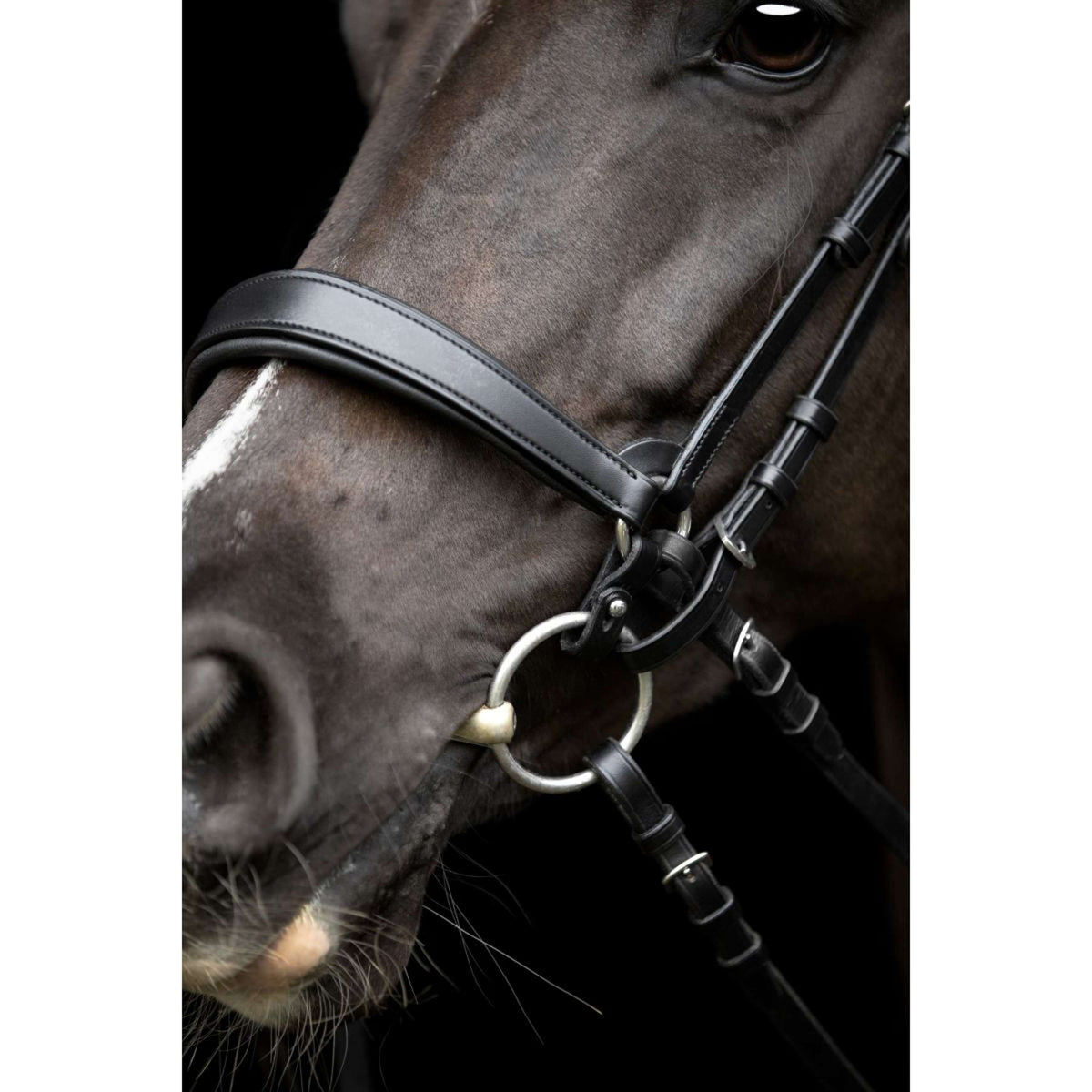 Catago Cabezada Gentle Negro