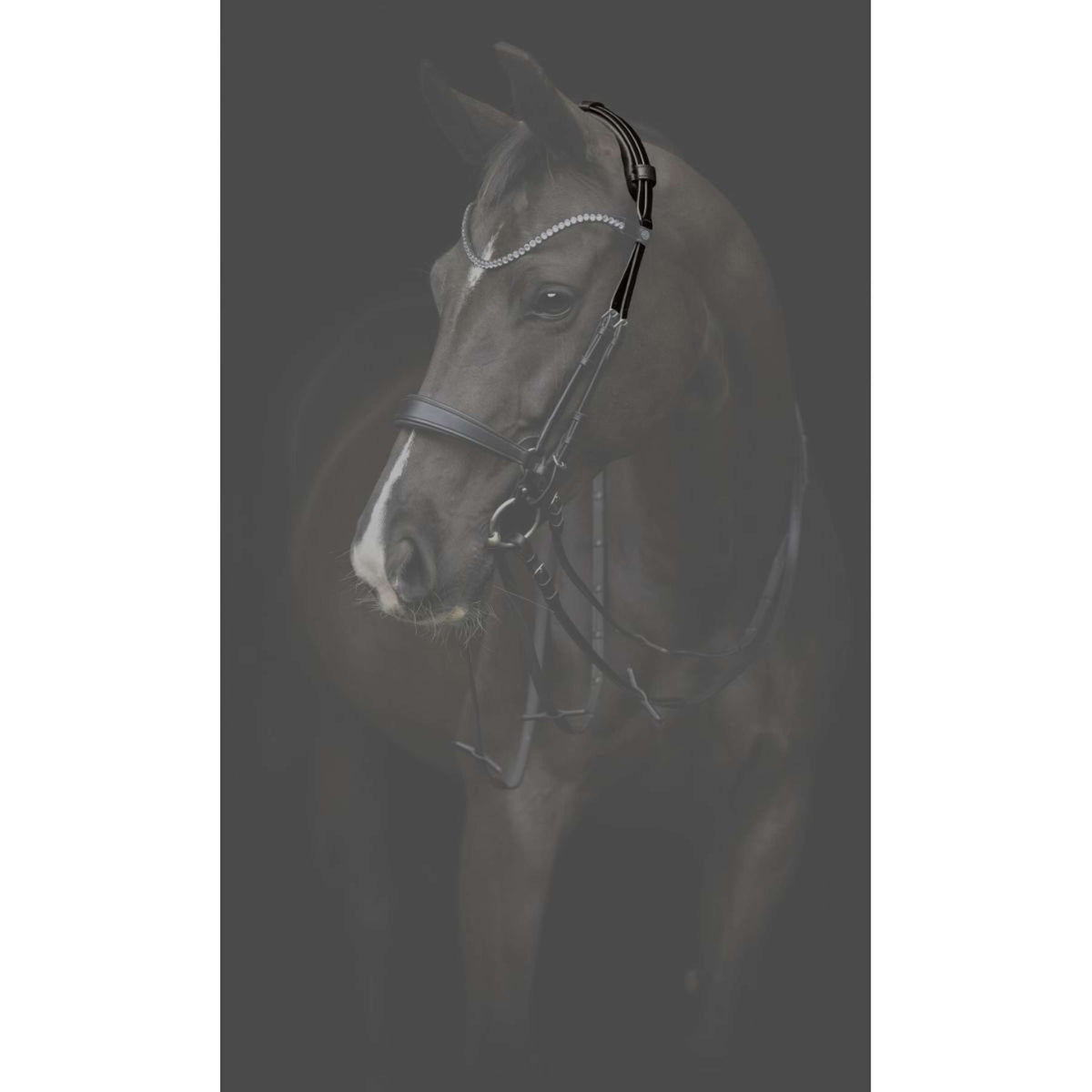 Catago Pieza de Cabeza Gentle Marron