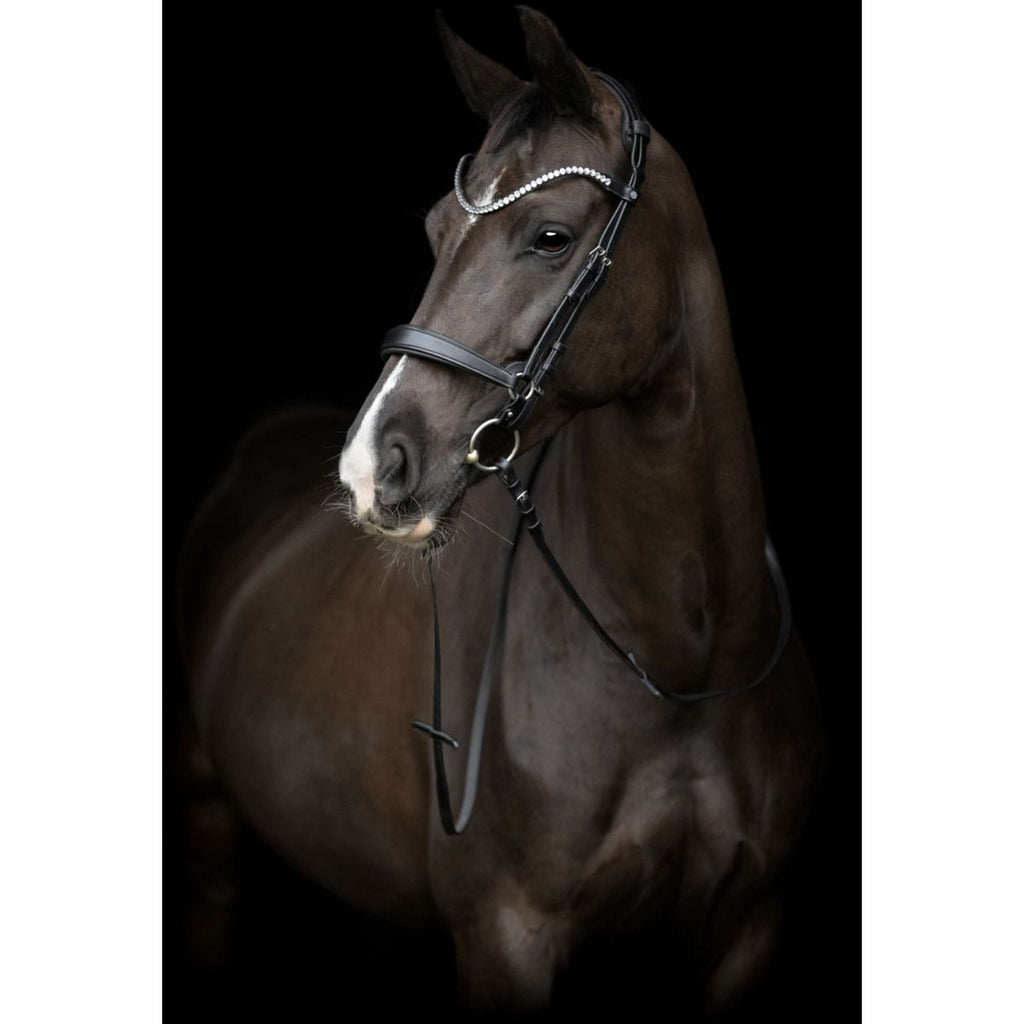 Catago Cabezada Gentle Negro