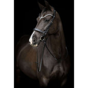 Catago Cabezada Gentle Negro
