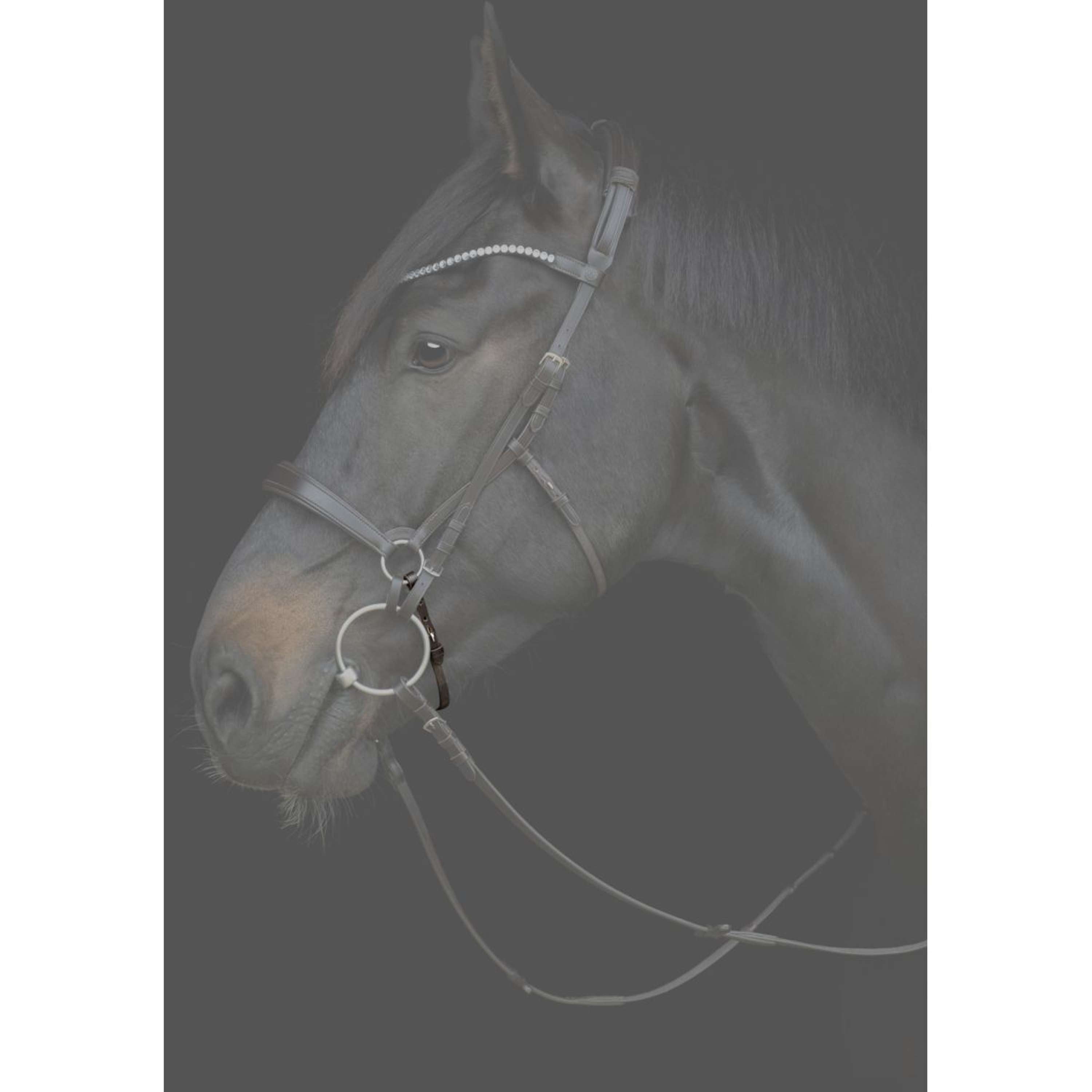 Catago Correa de Barbilla Gentle Marron