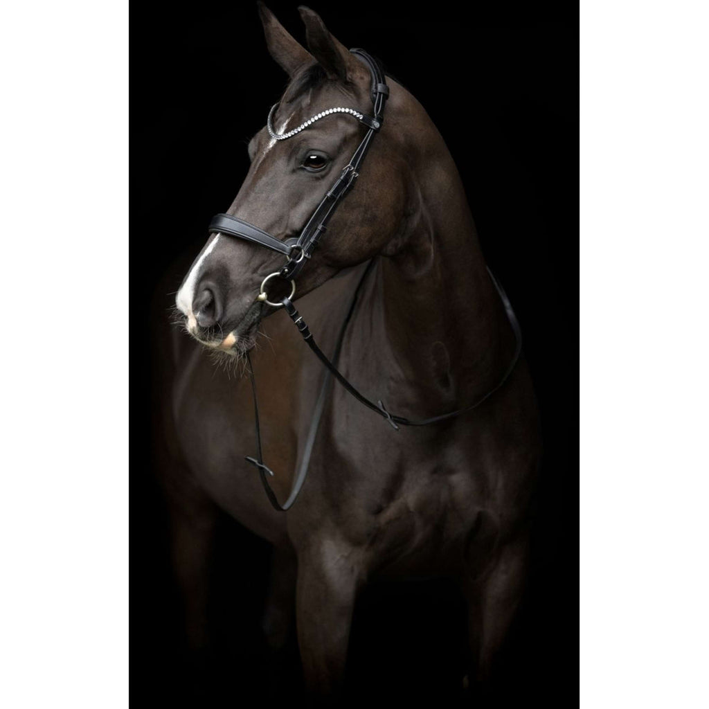Catago Piezas de Carrillera Gentle Marron