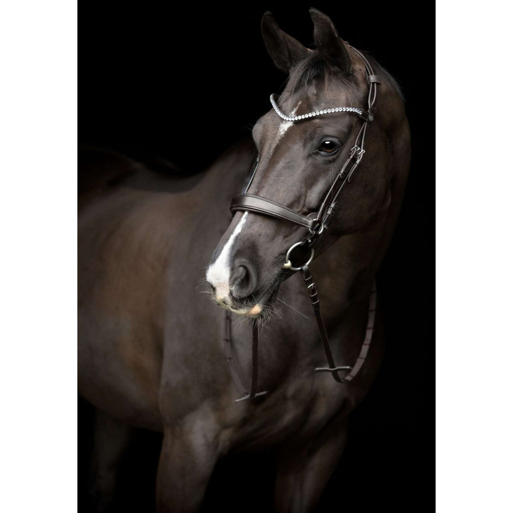 Catago Cabezada Gentle Marron
