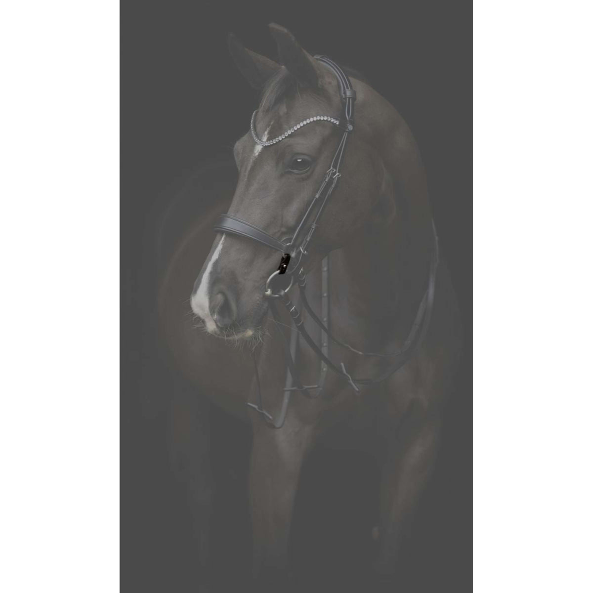 Catago Connecting Rings Gentle Negro