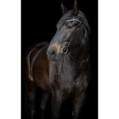 Catago Frontal Gentle Negro
