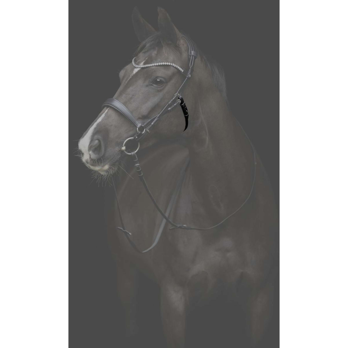 Catago Loría Gentle Marron