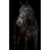 Catago Loría Gentle Marron