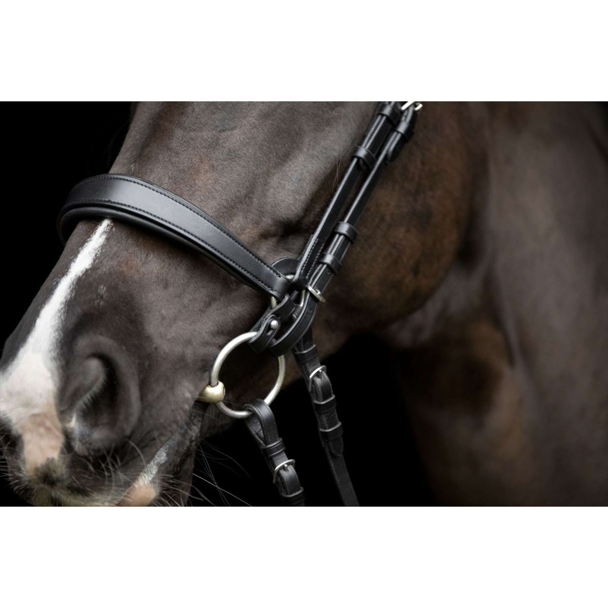 Catago Connecting Rings Gentle Negro