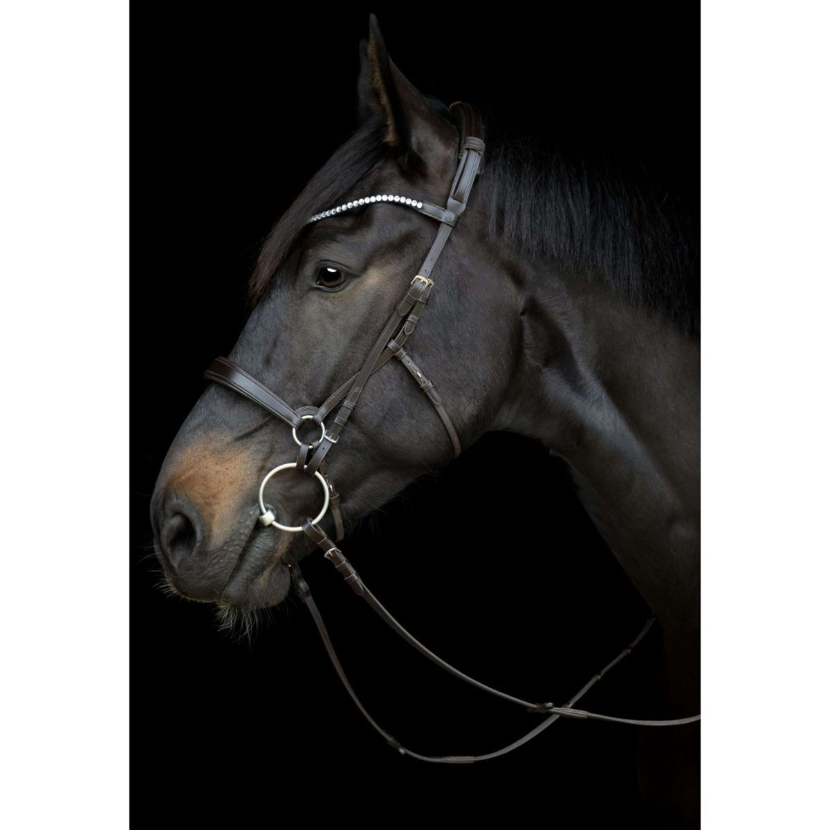 Catago Connecting Rings Gentle Negro