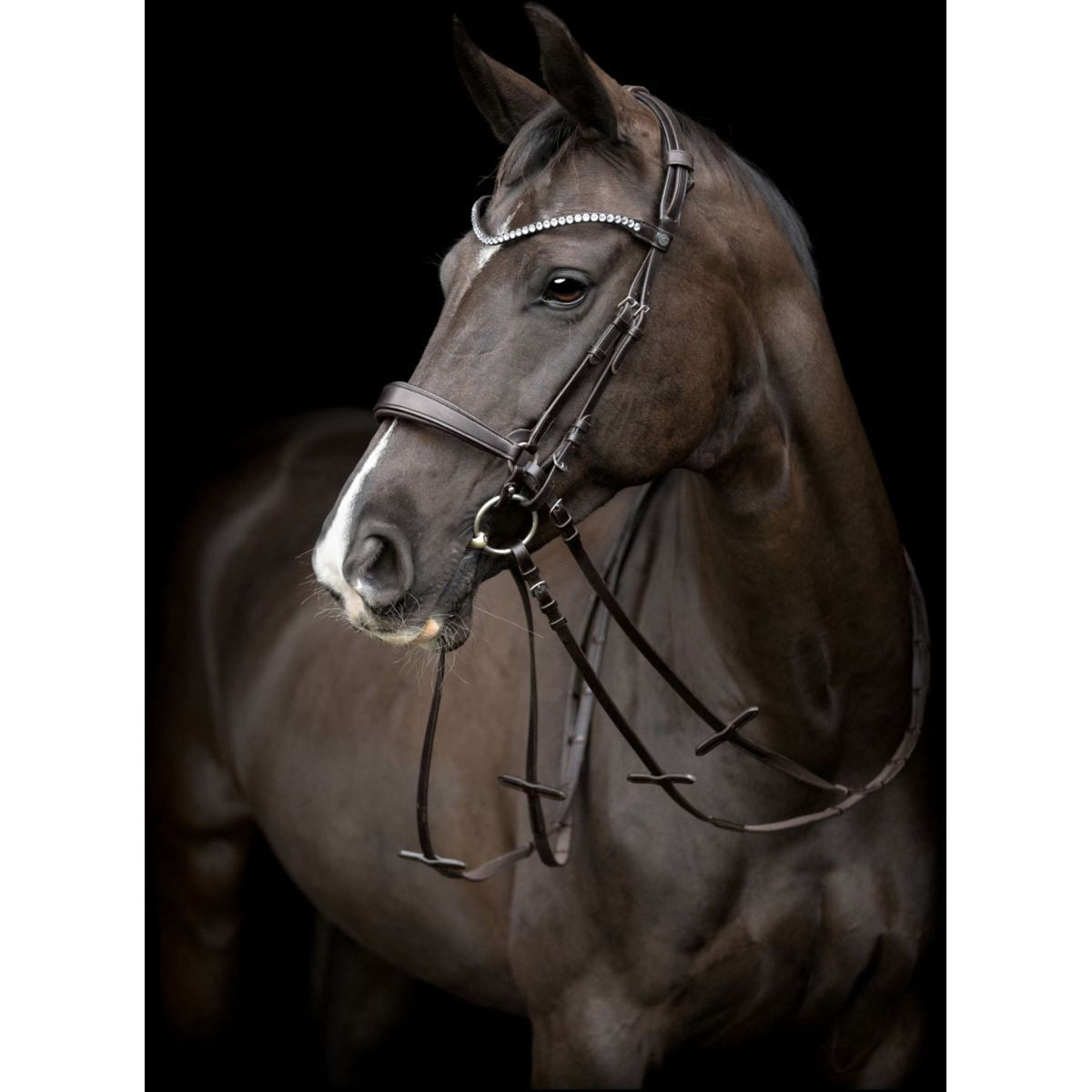 Catago Pieza de Cabeza Gentle Marron