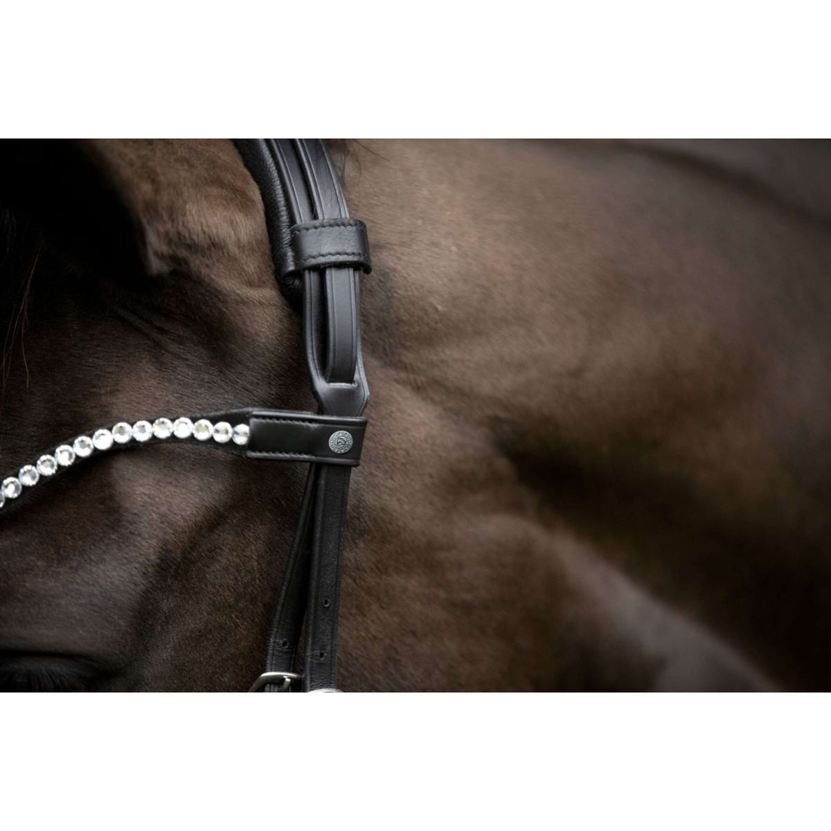 Catago Frontal Gentle Negro