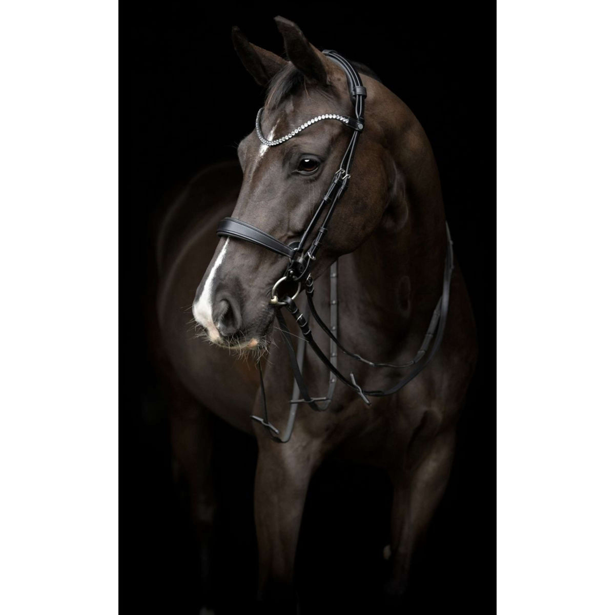 Catago Frontal Gentle Negro