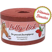Animalixs Piedra de Lamer LollyLick Vitamin Booster Escaramujo