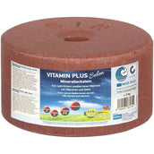 Animalixs Piedra de Lamer Vitamin Plus Selen