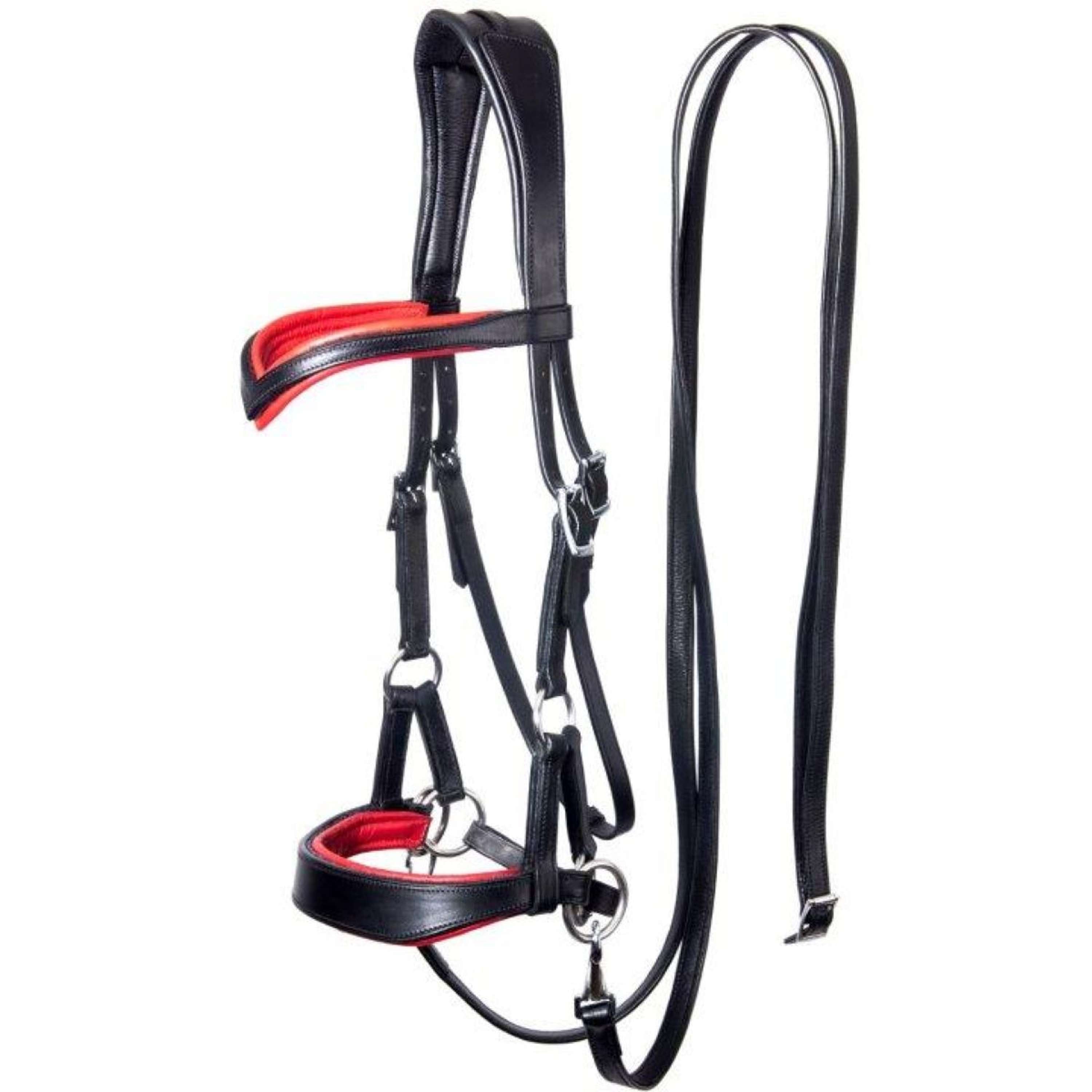 F.R.A. Brida sin Bocado Aruba Side Pull Negro
