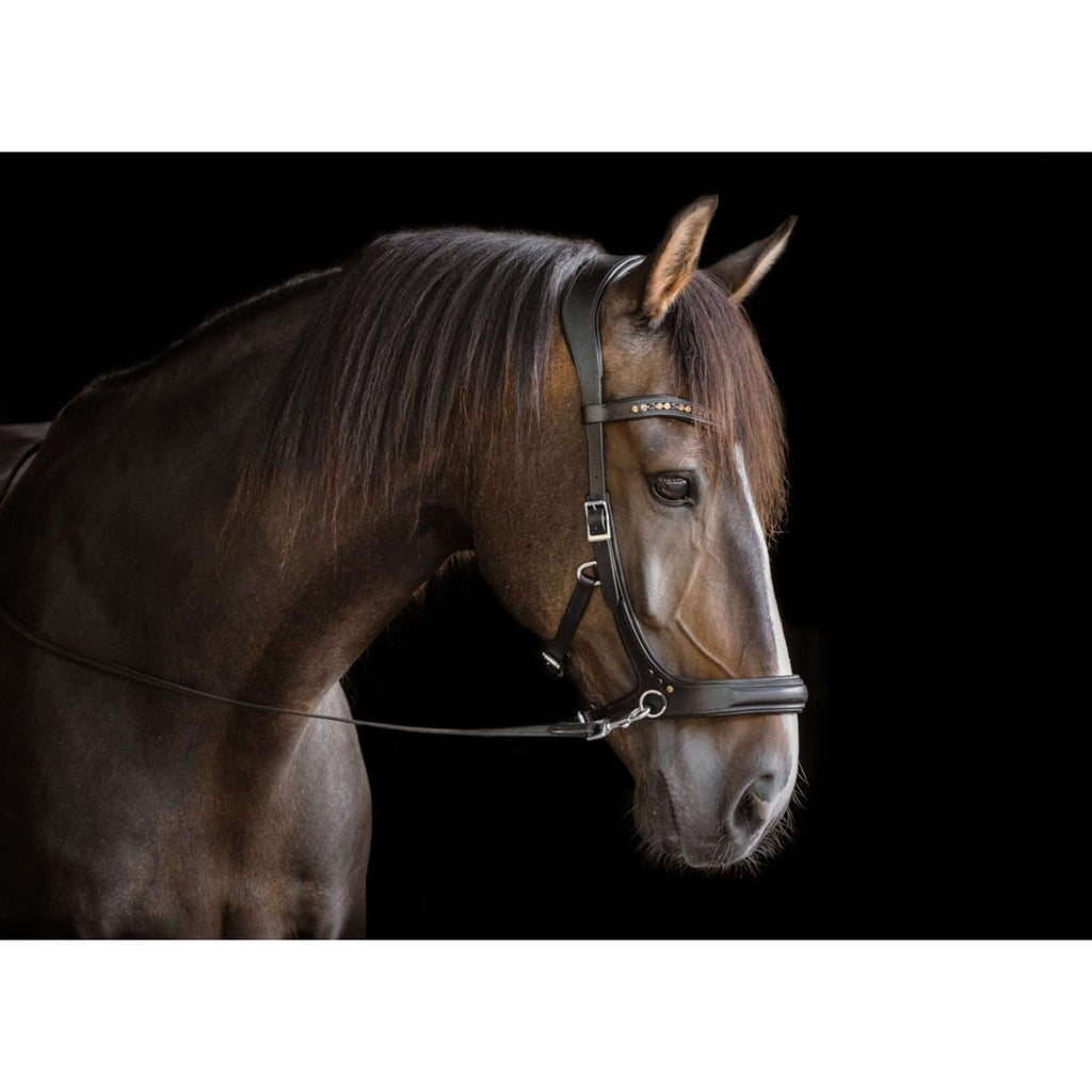 F.R.A. Brida sin Bocado Moonlight Negro