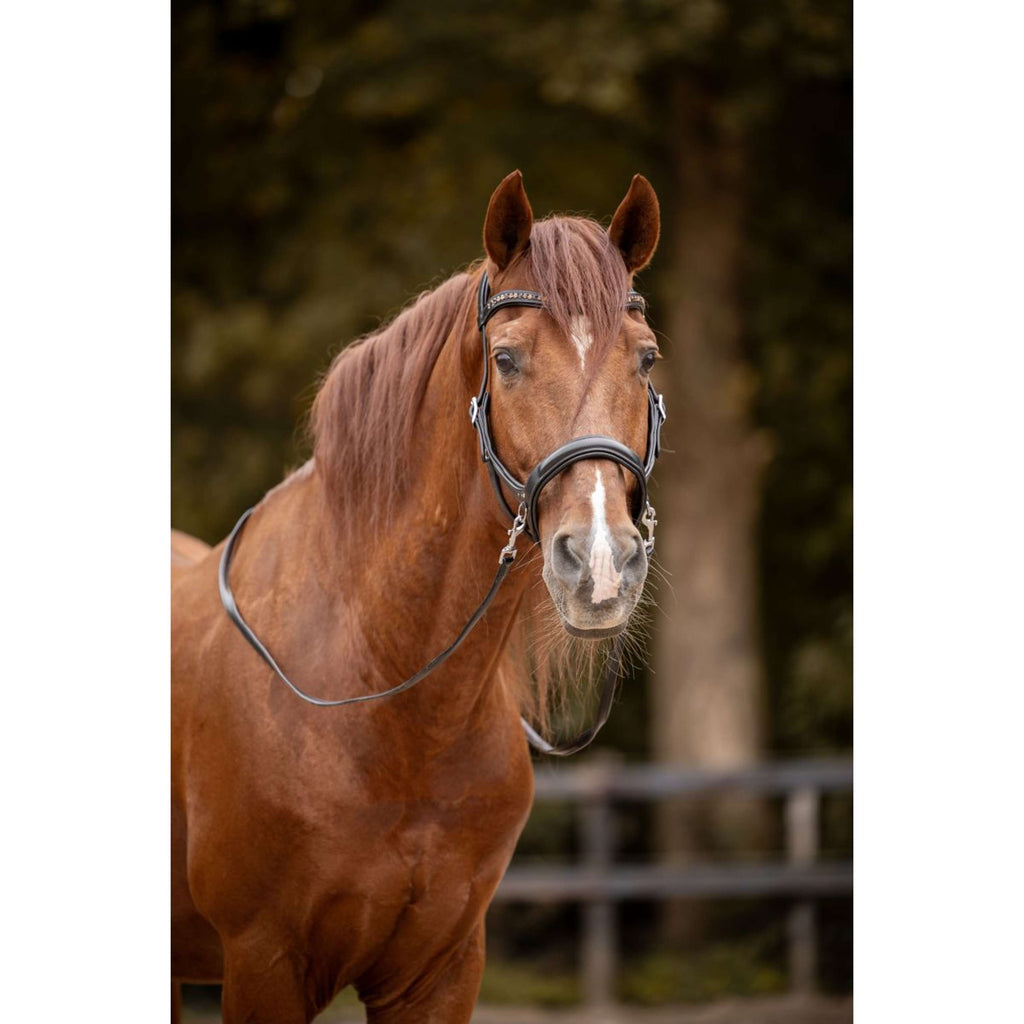 F.R.A. Brida sin Bocado Moonlight Negro
