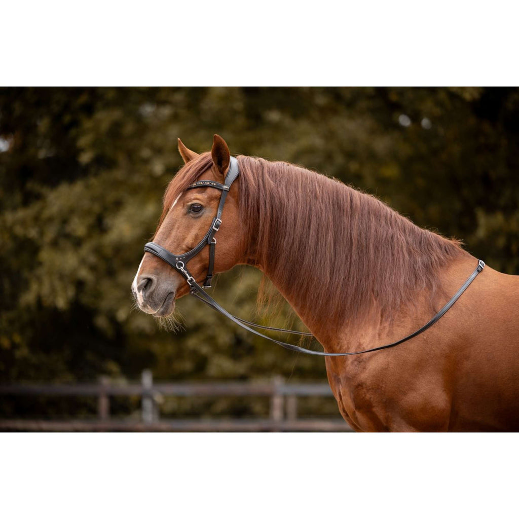 F.R.A. Brida sin Bocado Moonlight Negro