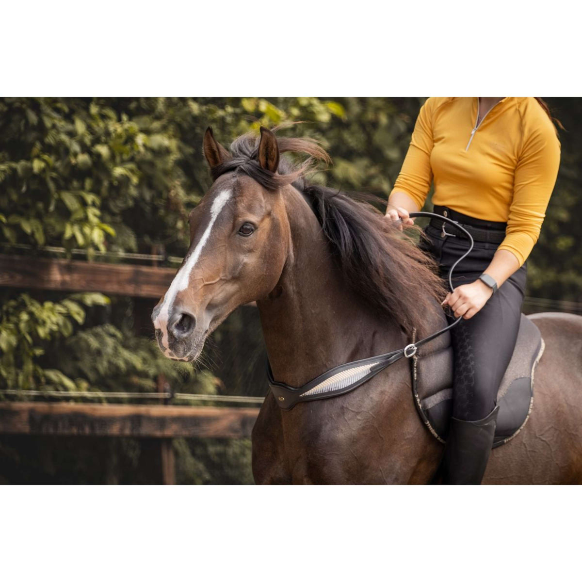 F.R.A. Rienda de Equilibrio Whisper Negro