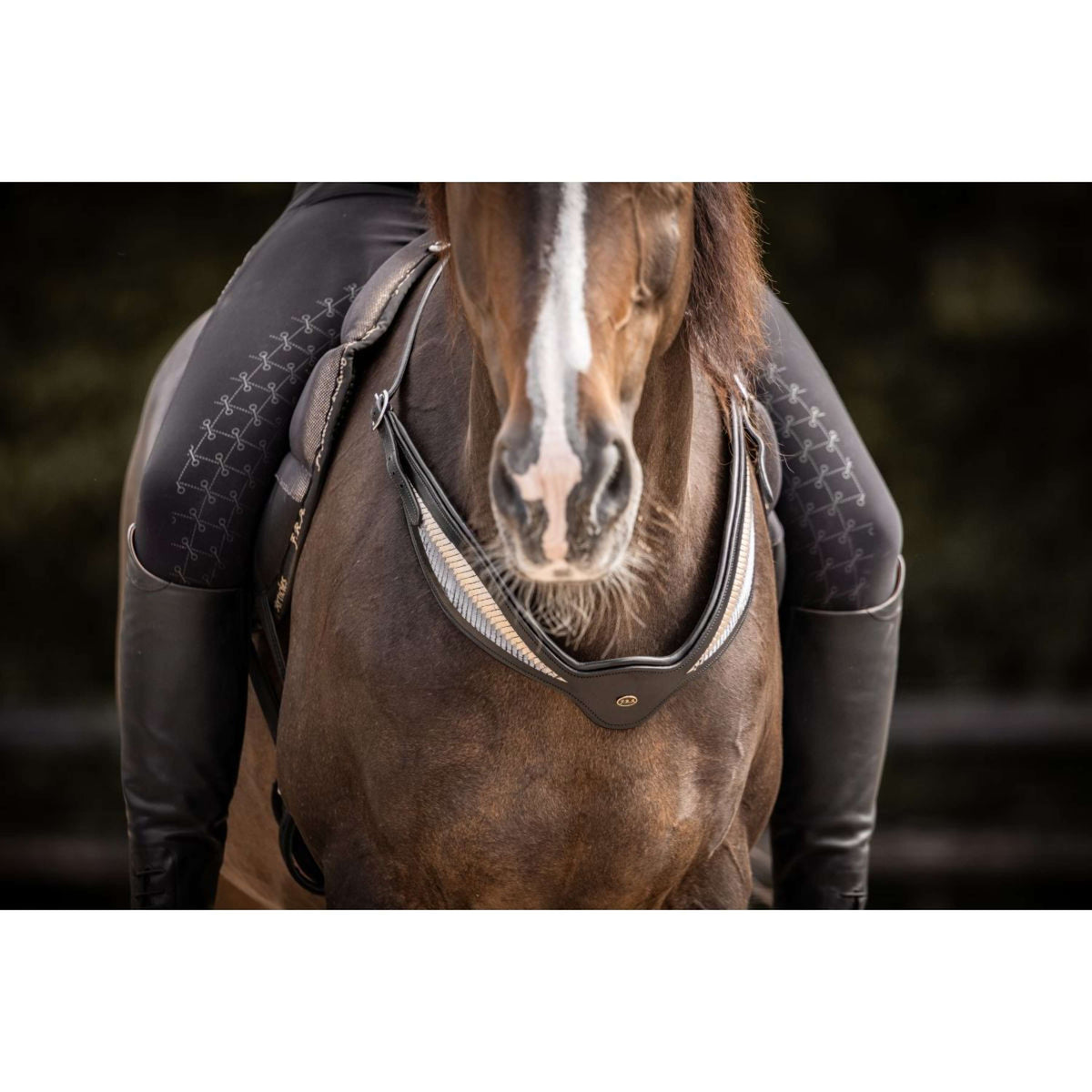 F.R.A. Rienda de Equilibrio Whisper Negro