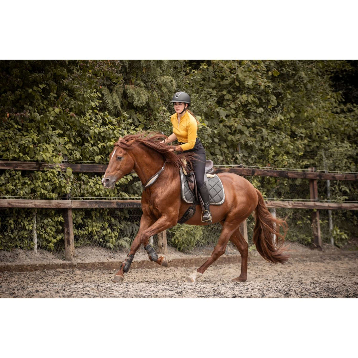 F.R.A. Rienda de Equilibrio Whisper Marron