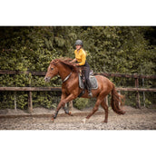 F.R.A. Rienda de Equilibrio Whisper Marron