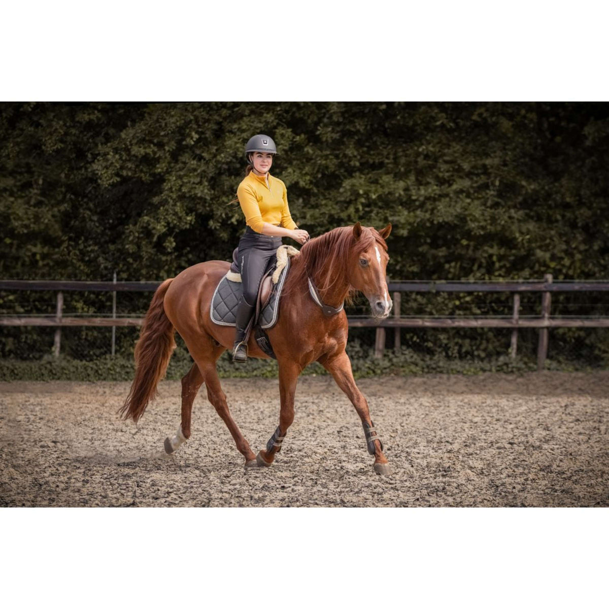 F.R.A. Rienda de Equilibrio Whisper Marron