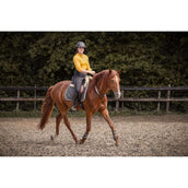 F.R.A. Rienda de Equilibrio Whisper Marron